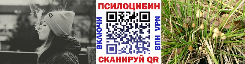 Псилоцибиновые грибы Magic Shrooms  где продают   Дубовка 